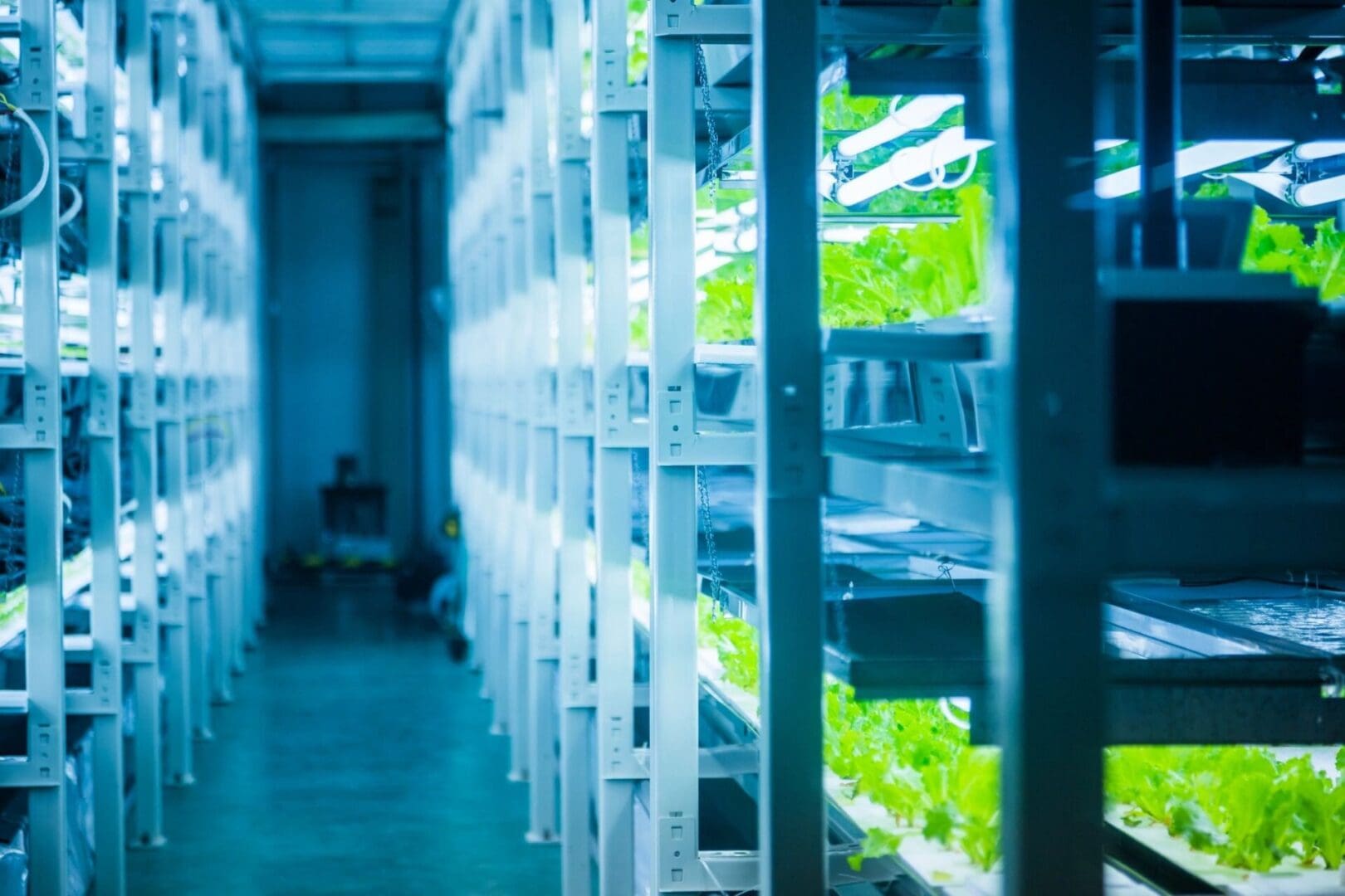 A room filled with shelves of plants and a person sitting on the floor.