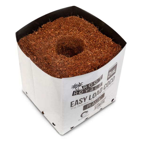 Coconut coir in a plastic container.