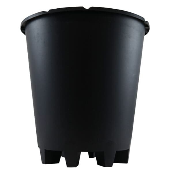 Black plastic planting pot with drainage holes.