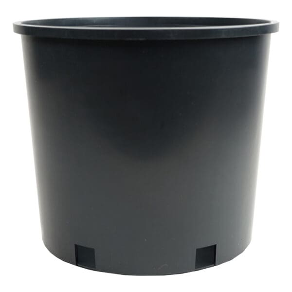 Black plastic plant pot without drainage holes.