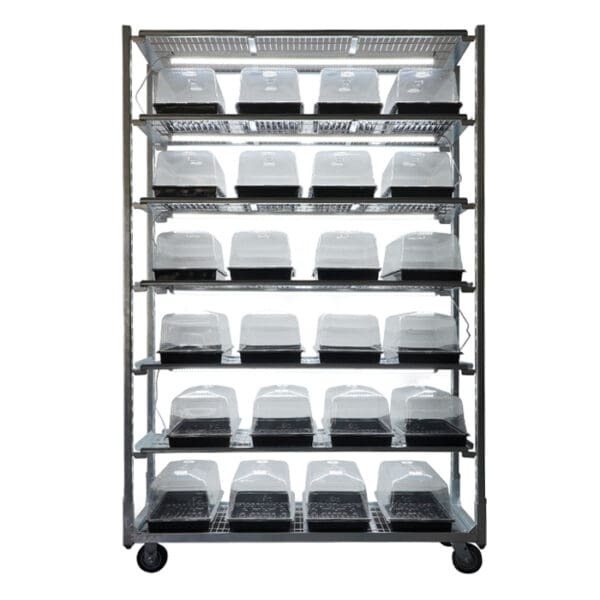 Plant propagation rack with transparent containers.