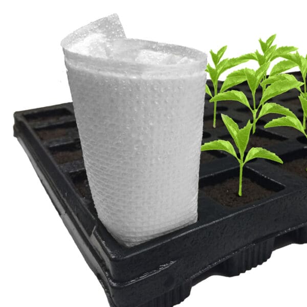 Seedlings in a tray with planting cup.