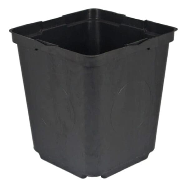 Black square plastic container.