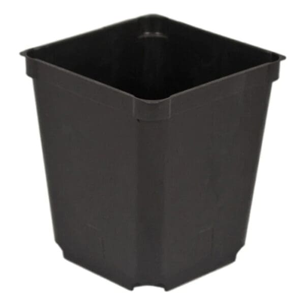 Black plastic square plant pot.