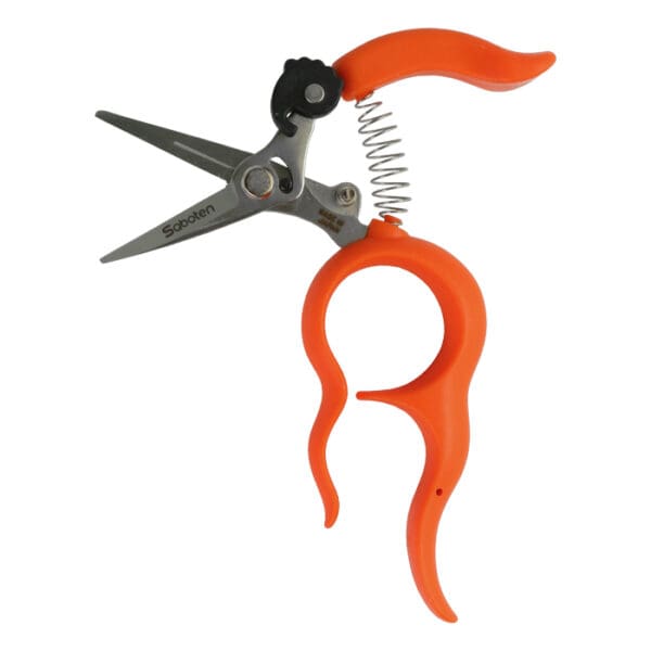 Orange pruning shears with spring mechanism.