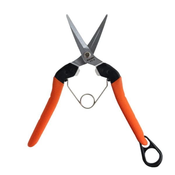 Scissors with orange handles and metal blades.