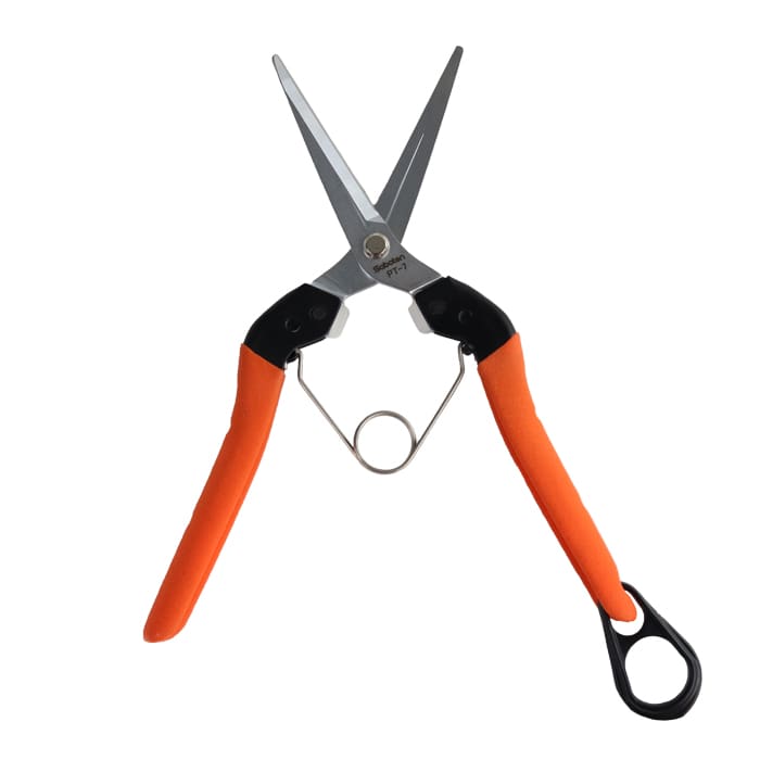 Gardening scissors with orange rubber grips.