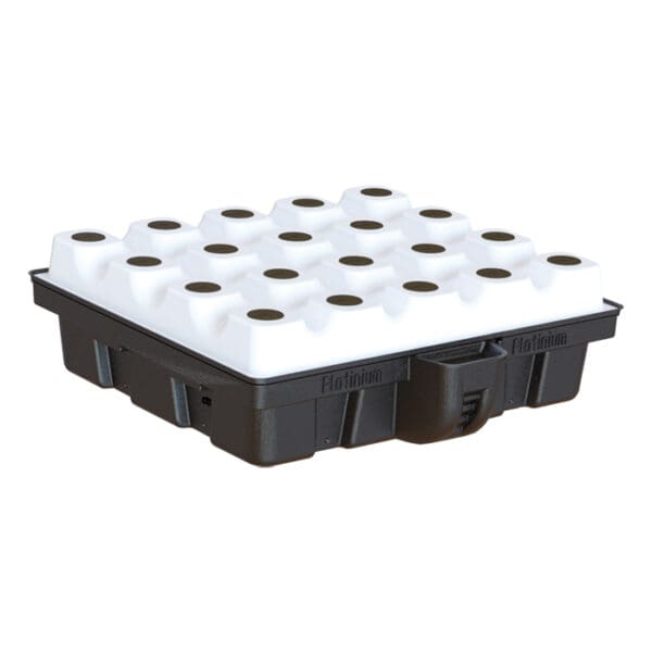 Hydroponic growing tray with planting holes.