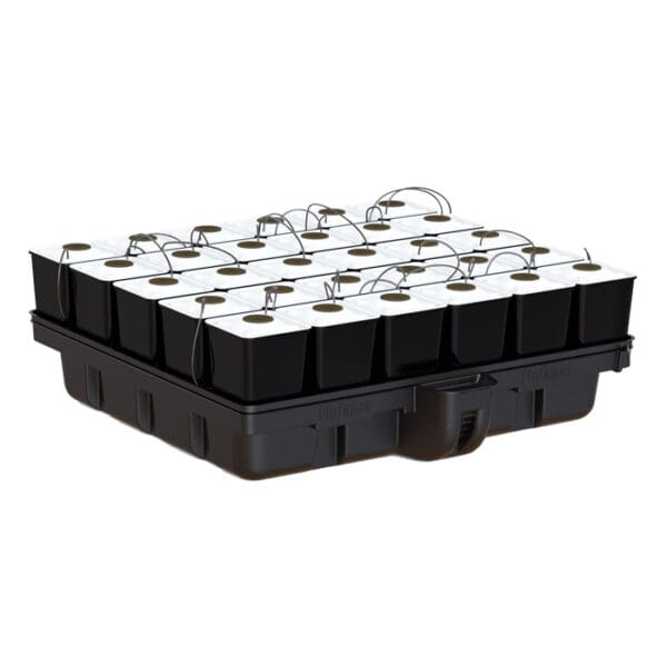 Hydroponic planting system with multiple containers.