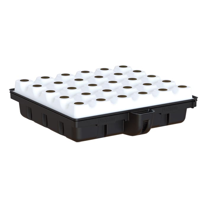 Hydroponic growing tray with multiple planting holes.