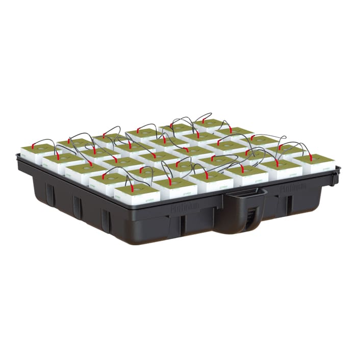 Battery pack with multiple rectangular cells.