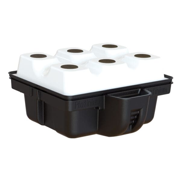 Gardening container with six planting holes.