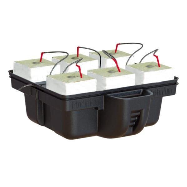 Hydroponic growing system with clay pellets.