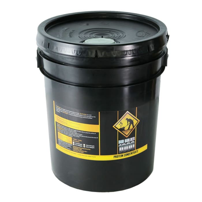 Black bucket labeled "Bud Builder Protein Concentrate."