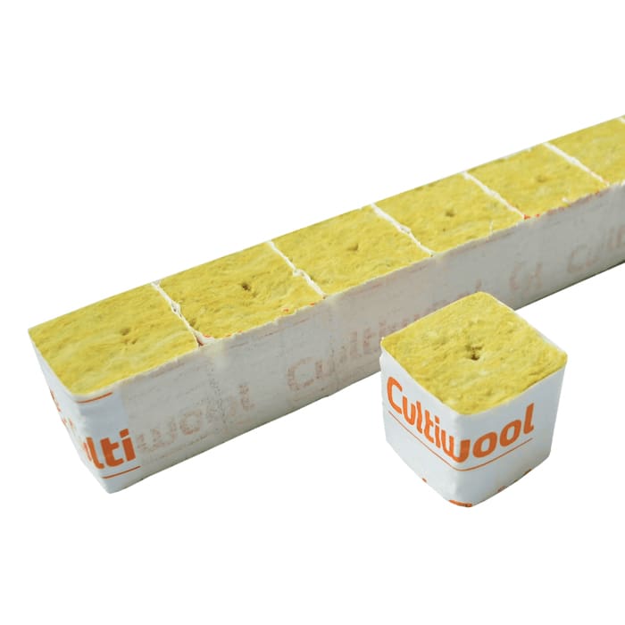 Cultivation blocks of yellow growing medium.