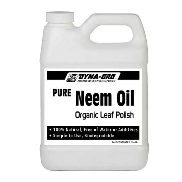 Pure Neem Oil Organic Leaf Polish, 8 oz.