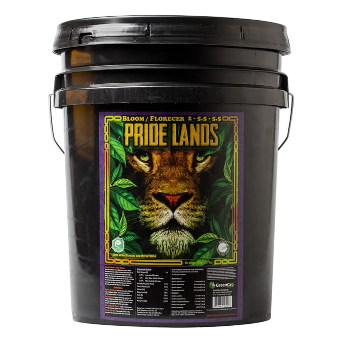 Black bucket with lion-themed design.