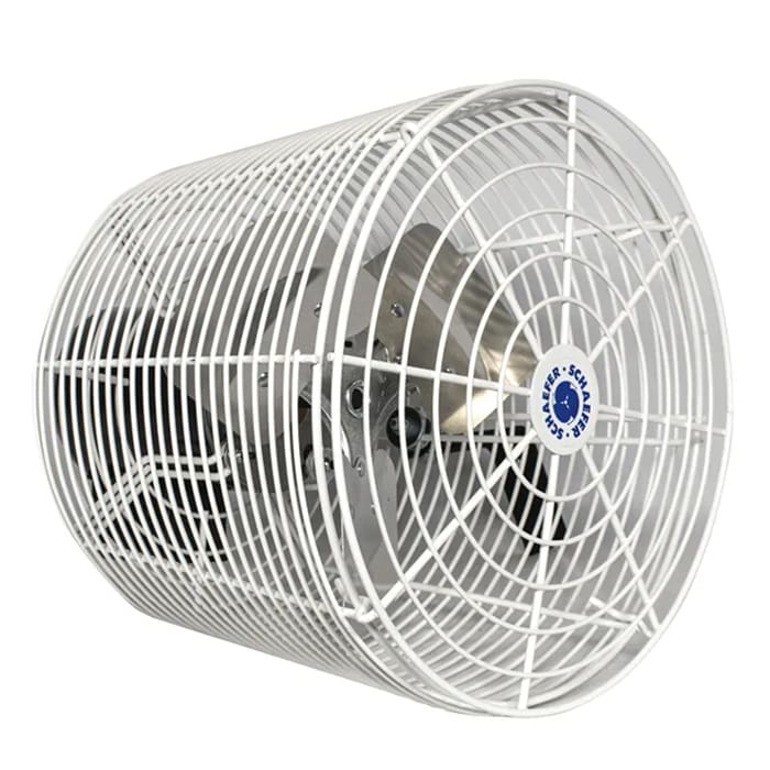 White metal fan with protective grille.