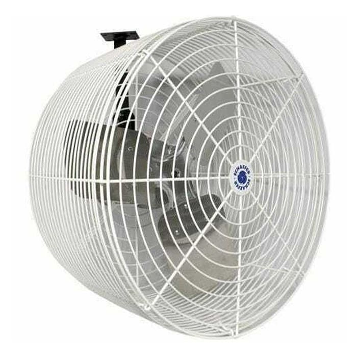 White industrial wall fan with protective grill.