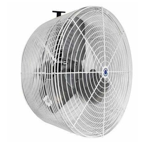 Industrial wall-mounted fan with protective grill.