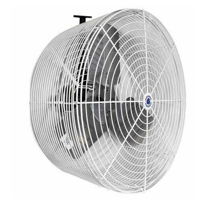 Industrial wall-mounted fan with protective grill.