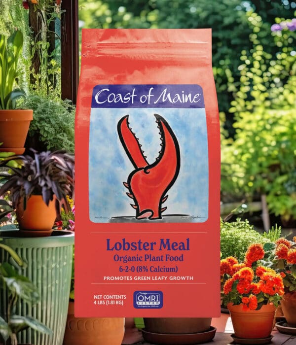 Lobster Meal 4lbs